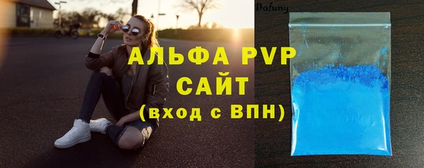 трава Белокуриха