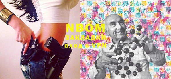 трава Белокуриха