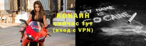 трава Белокуриха