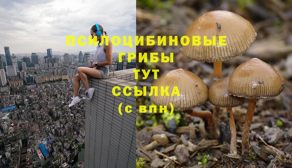 гашишное масло Беломорск