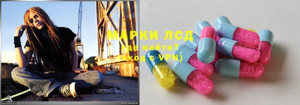 трава Белокуриха