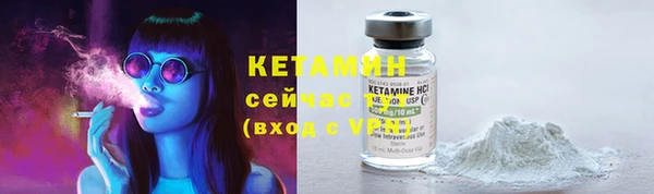 трава Белокуриха