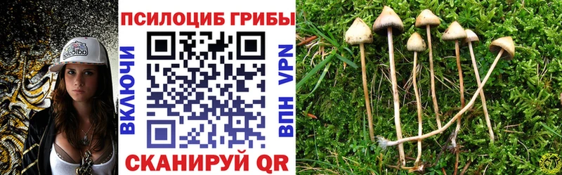 Галлюциногенные грибы Psilocybine cubensis  Купить закладки  Галич 